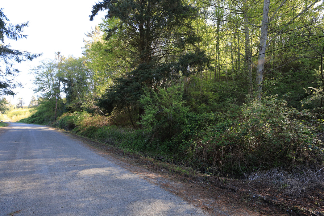 0.45 Acre Coupeville, Island County, WA (Power, Water & Paved Road)