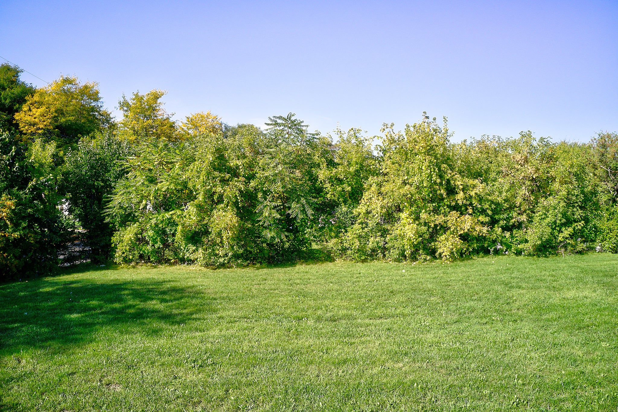 0.14 Acre Milwaukee, Milwaukee County, WI (Power, Water, & Paved Road)