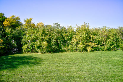 0.14 Acre Milwaukee, Milwaukee County, WI (Power, Water, & Paved Road)