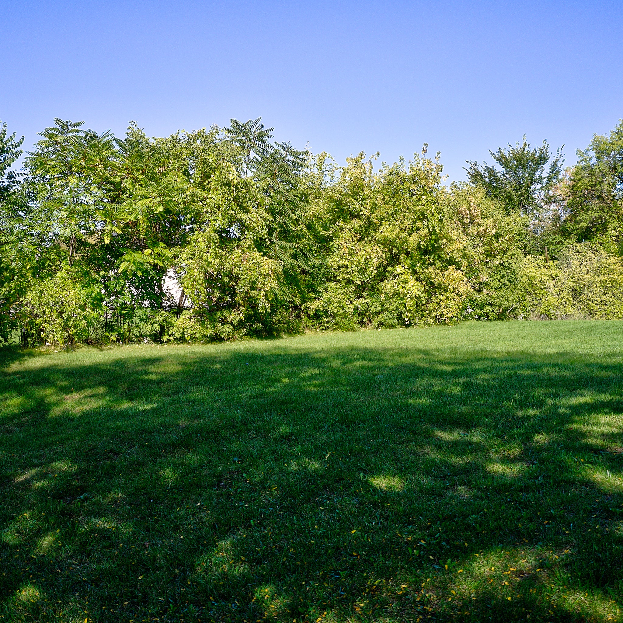 0.14 Acre Milwaukee, Milwaukee County, WI (Power, Water, & Paved Road)