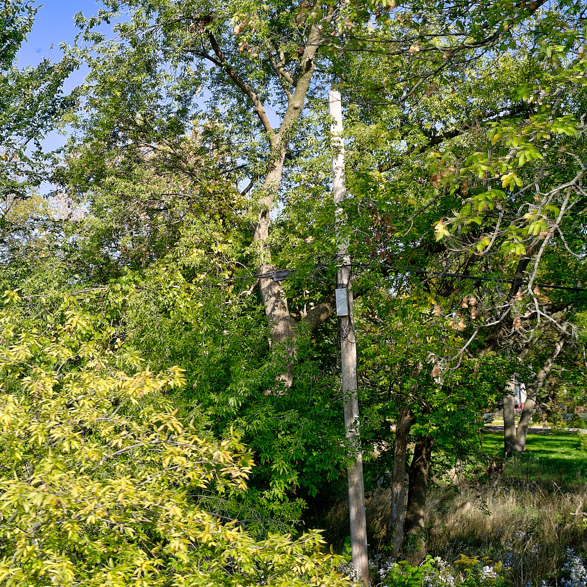 0.14 Acre Milwaukee, Milwaukee County, WI (Power, Water, & Paved Road)