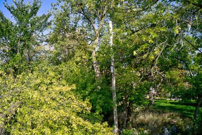 0.14 Acre Milwaukee, Milwaukee County, WI (Power, Water, & Paved Road)