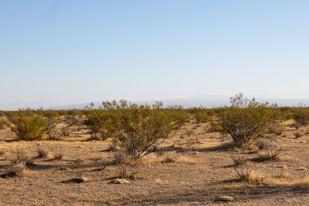 10 Acres California City, Kern County, CA