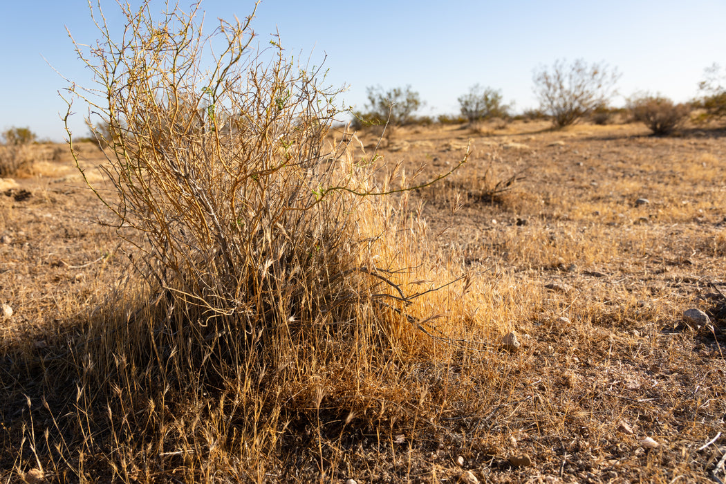 10 Acres California City, Kern County, CA