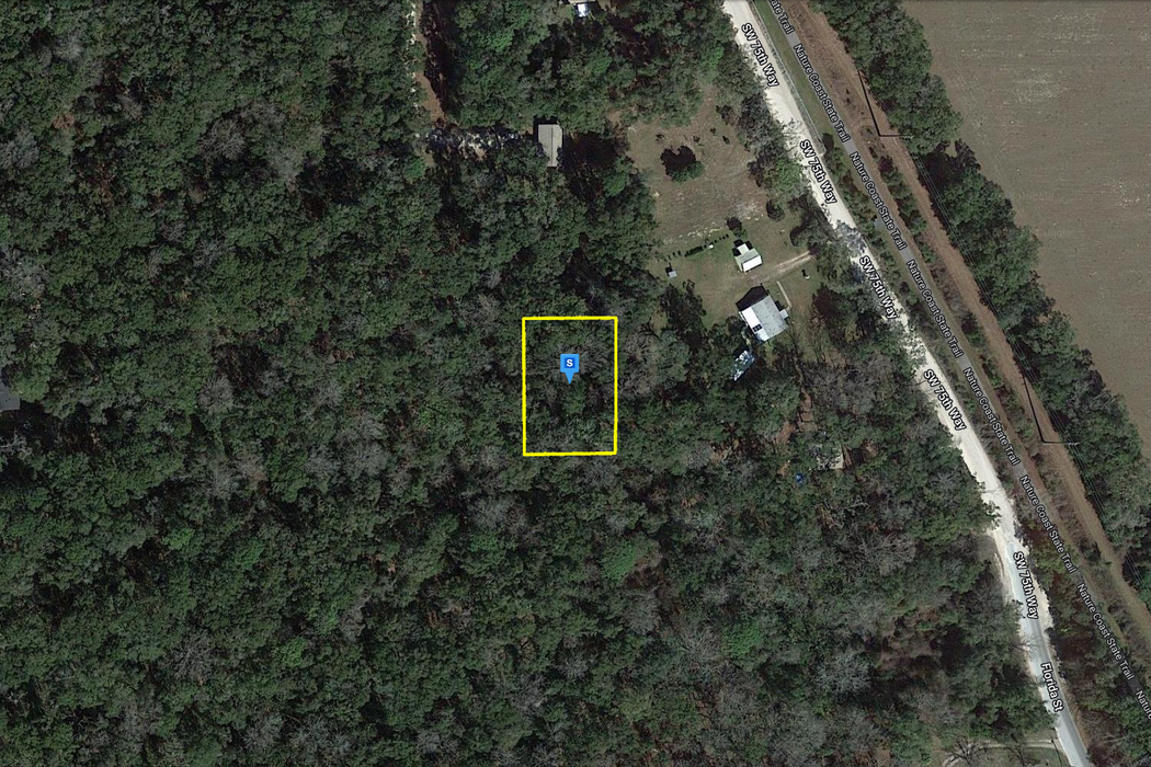 0.33 Acre Trenton, Gilchrist County, FL (Power)