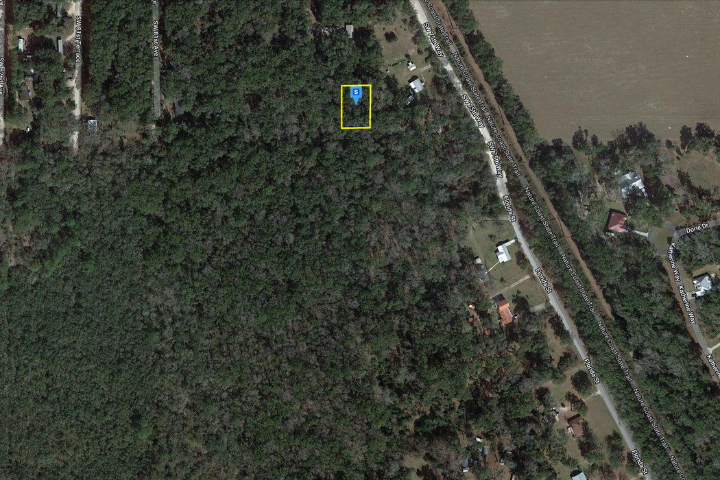 0.33 Acre Trenton, Gilchrist County, FL (Power)